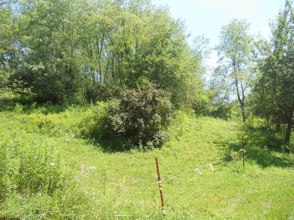 Land in Maidsville, West Virginia, United States 3 - 18369664
