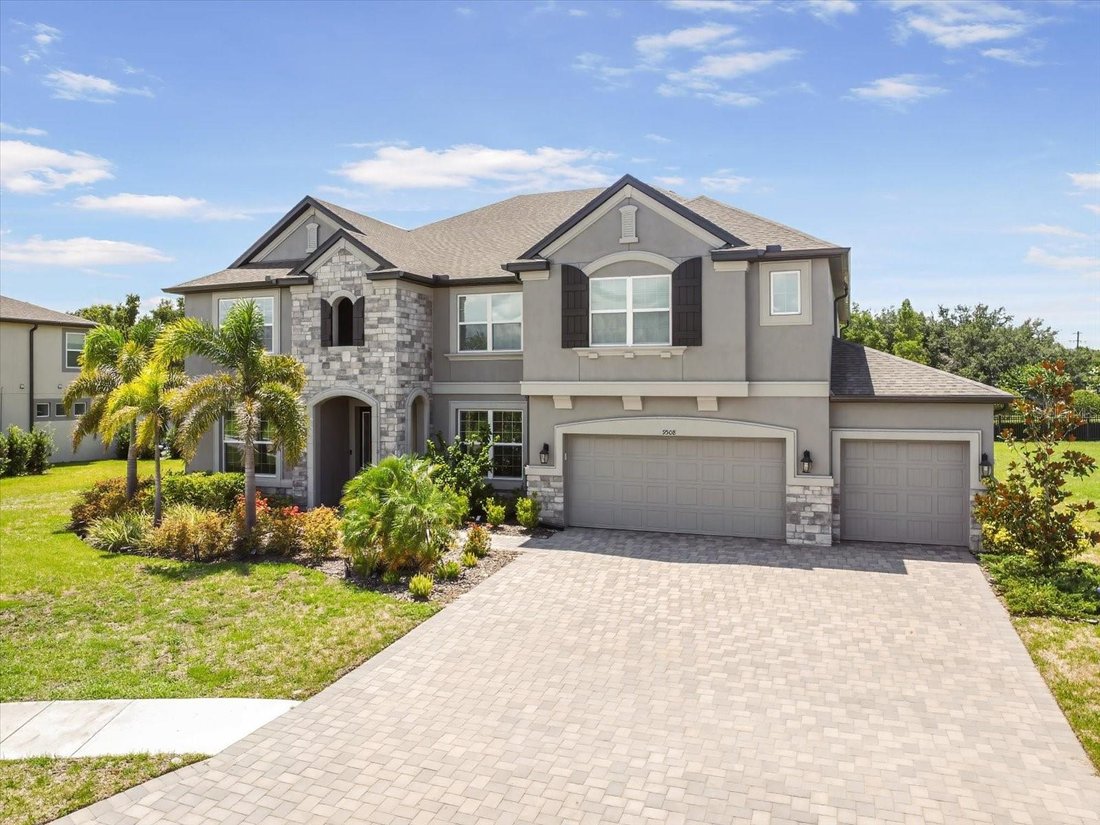 House in Brandon, Florida, United States 1 - 18366459