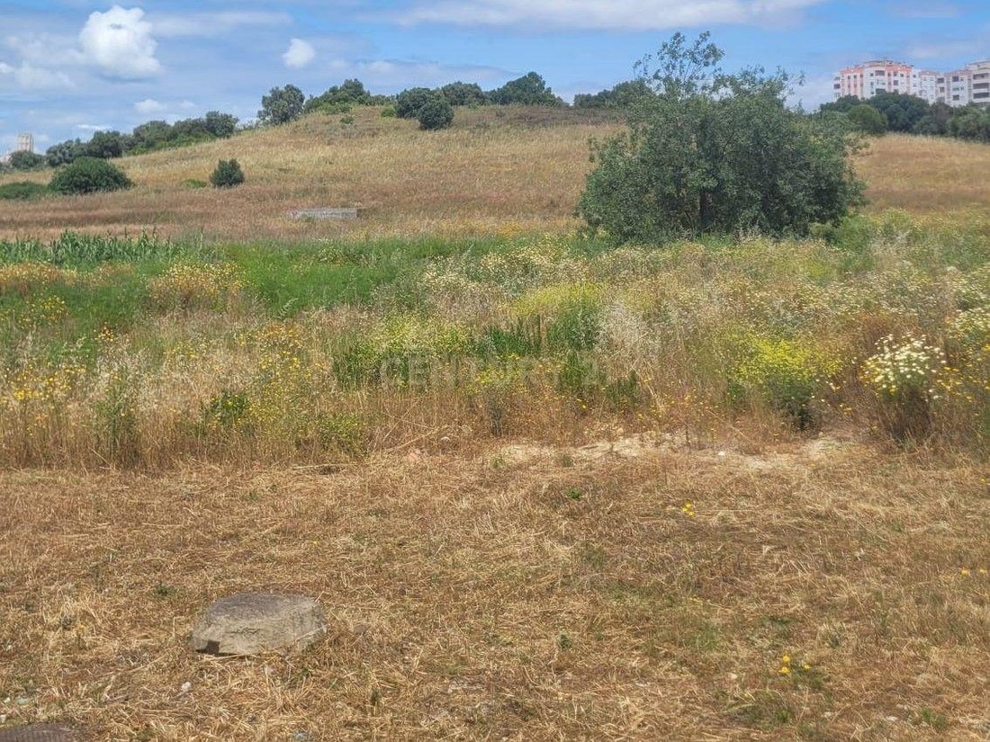 Land in Seixal, Arrentela e Aldeia de Paio Pires, Setubal, Portugal 5 - 14268092