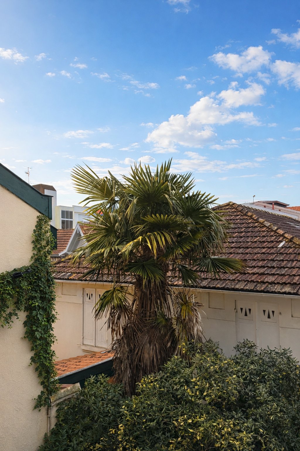 Apartment in Aiguillon, Arcachon, France 3 - 18366495