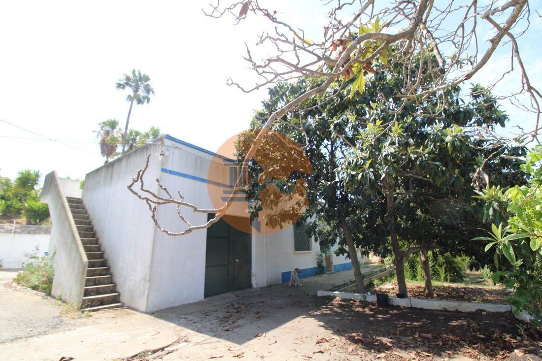 Land in Pechao, Algarve, Portugal 2 - 12898291