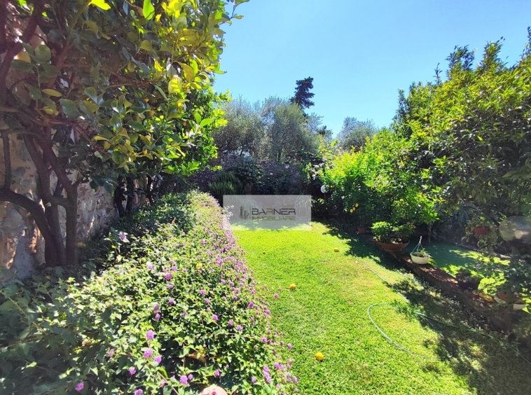 Villa in Massarosa, Tuscany, Italy 4 - 18365045
