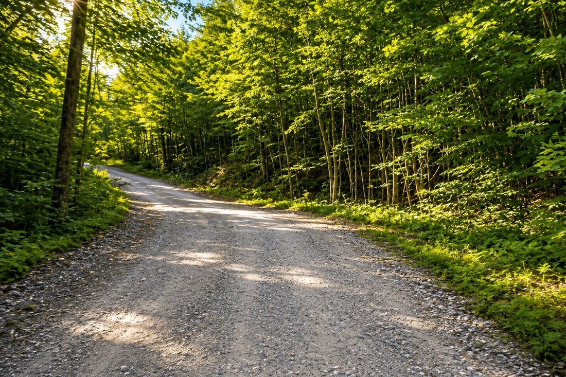 Land in Lascelles, Quebec, Canada 3 - 18361151