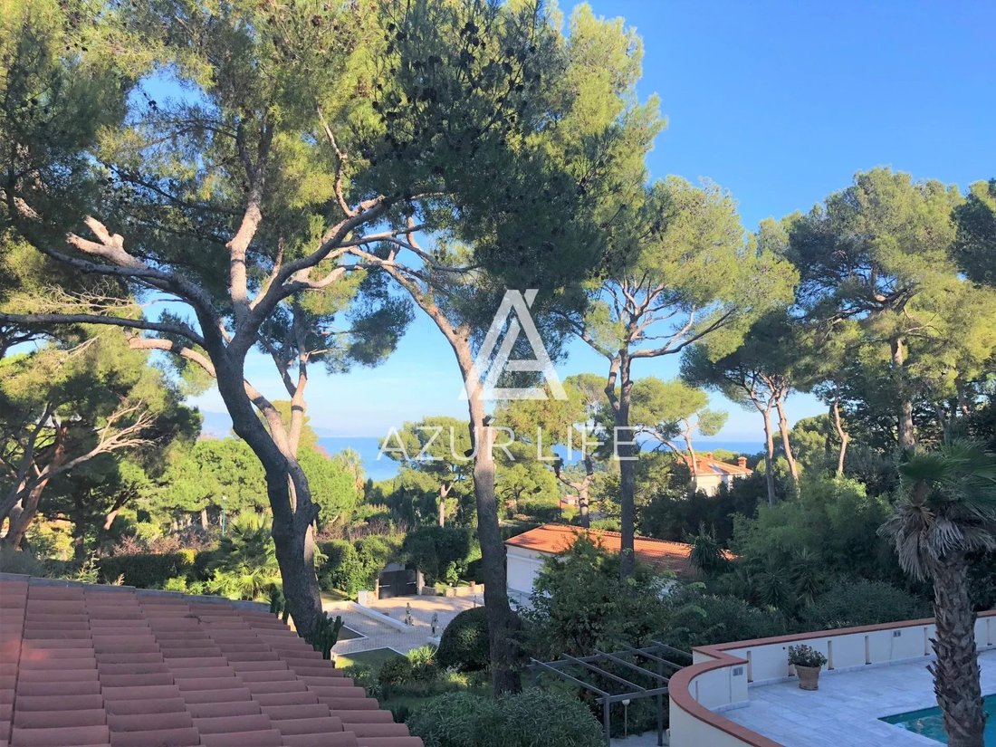 Villa in Saint-Jean-Cap-Ferrat, Provence-Alpes-Côte d'Azur, France 5 - 18363026