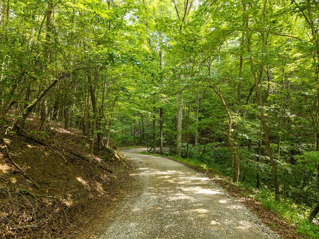 Maison à Ellijay, Géorgie, États-Unis 2 - 18365250