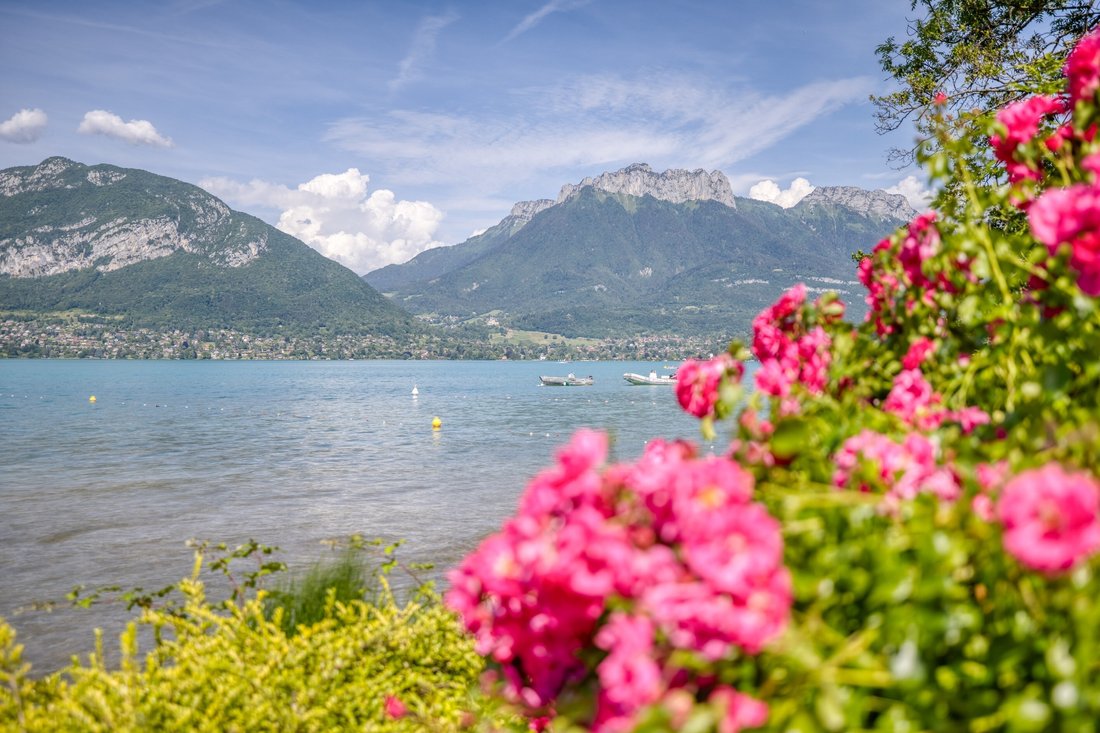 House in Galbert, Annecy, France 1 - 18367024