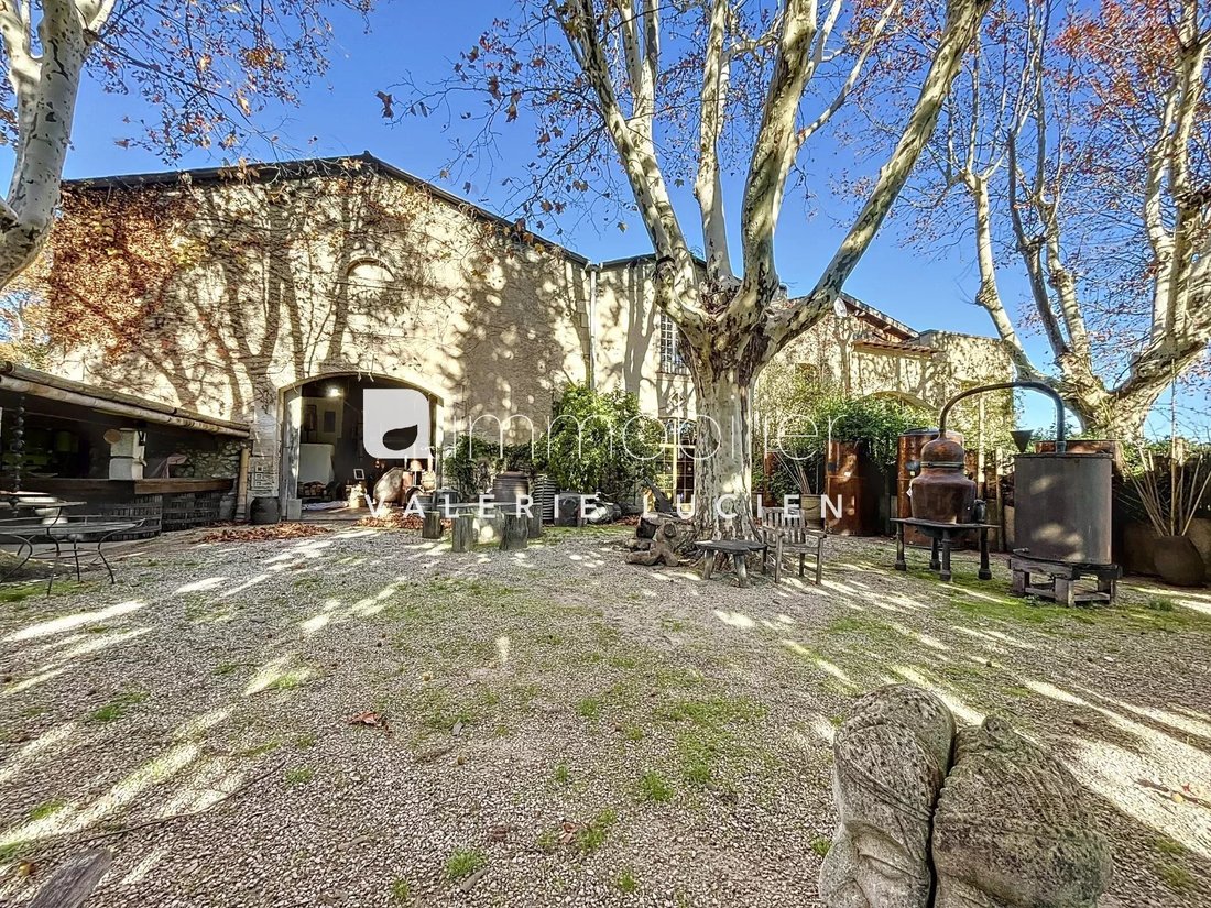 Estate in Saint-Rémy-de-Provence, Provence-Alpes-Côte d'Azur, France 4 - 15190171