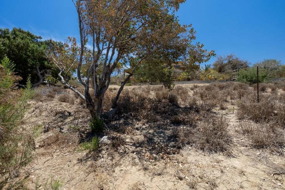 Land in La Ribera, Baja California Sur, Mexico 3 - 18367165