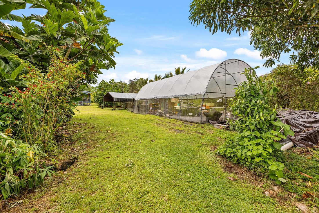 House in Keaau, Hawaii, United States 5 - 18365457
