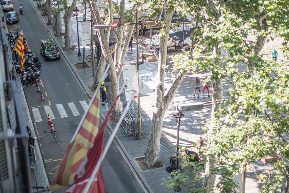 Apartment in Ciutat Vella, Barcelona, Spain 3 - 18363514