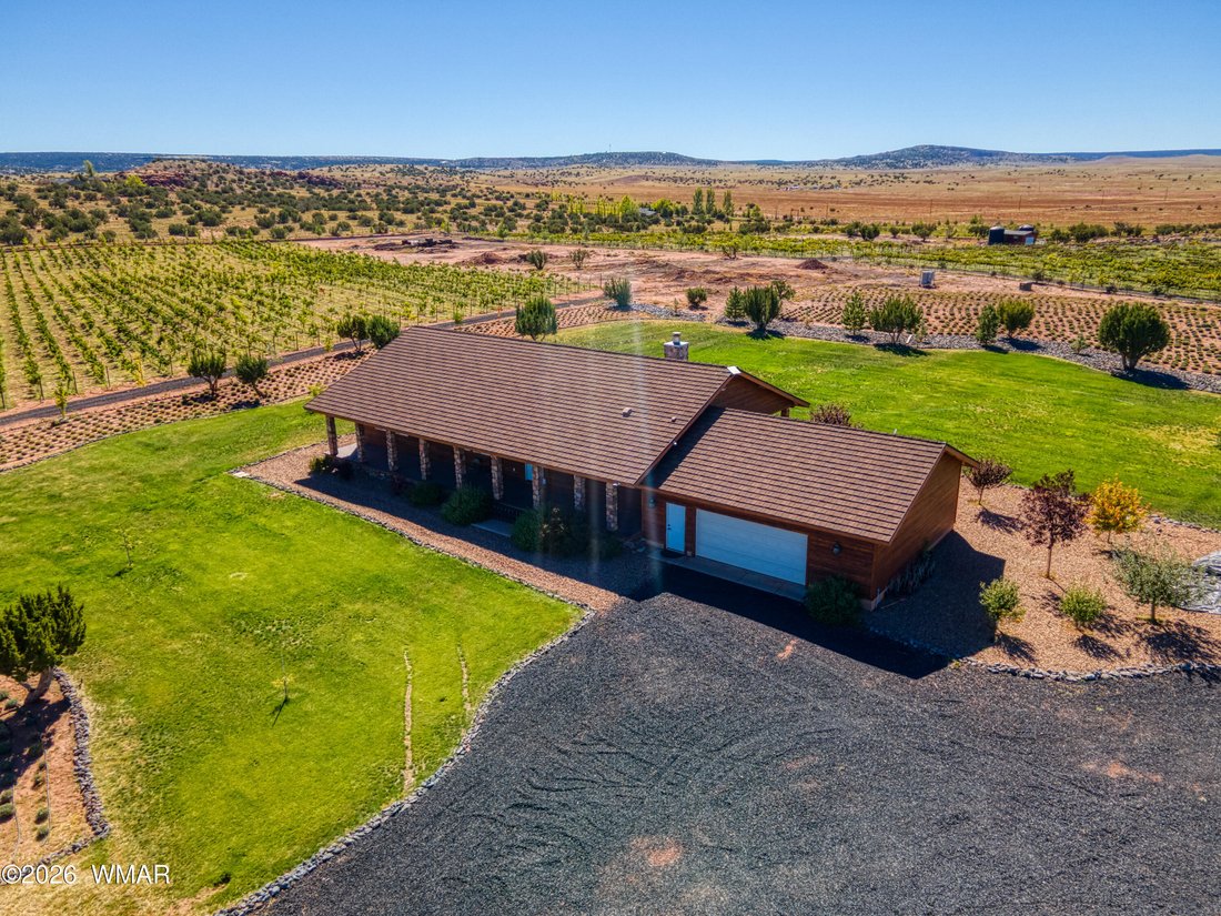 Concho, Arizona, United States 4 - 18364842