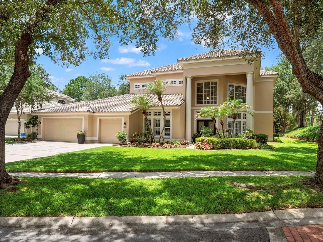 House in Tampa, Florida, United States 1 - 18335549