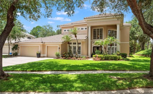 House in Tampa, Florida, United States 1