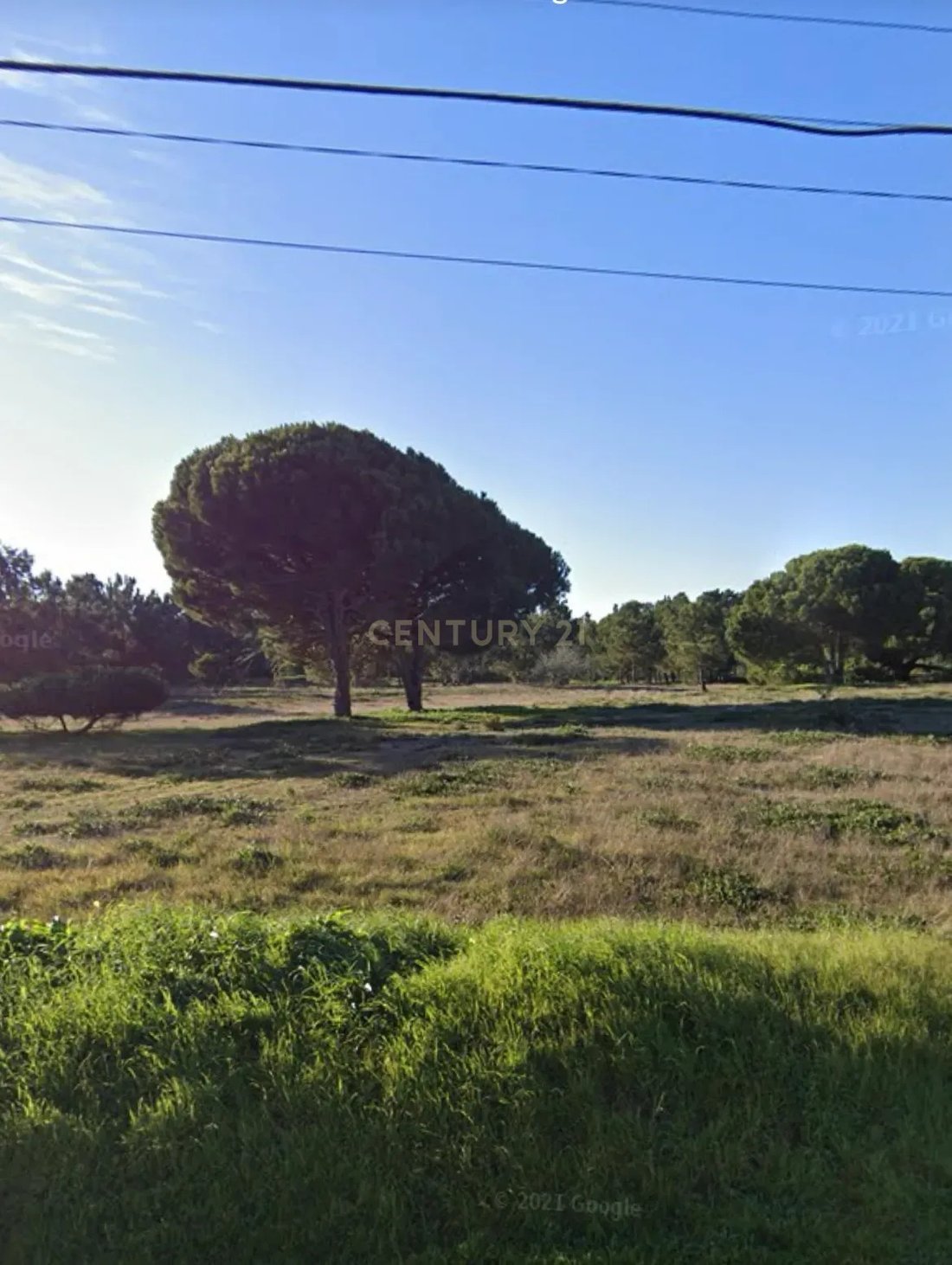 Land in Sesimbra (Castelo), Setubal, Portugal 2 - 14795523