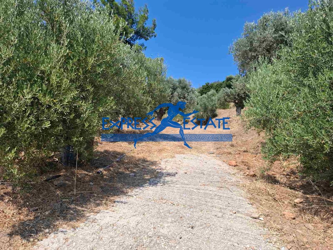 Condo in Marathonas, Attica, Greece 3 - 18362564
