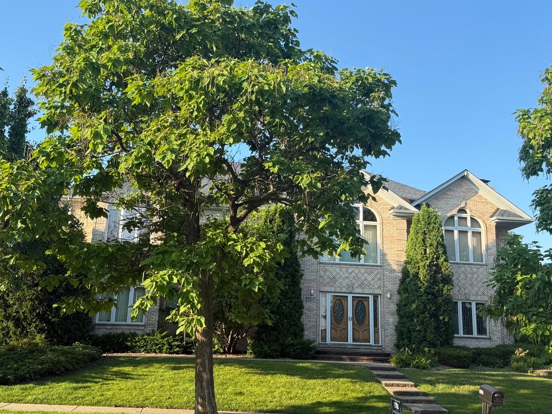 House in Lemont, Illinois, United States 3 - 18363117