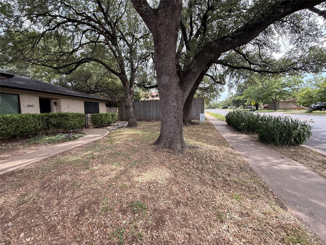 House in Austin, Texas, United States 5 - 18362625