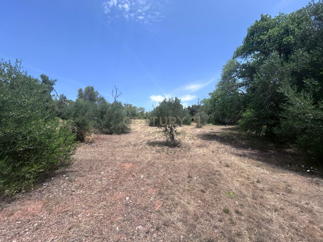 Land in Sao Bartolomeu de Messines, Algarve, Portugal 1 - 17923008