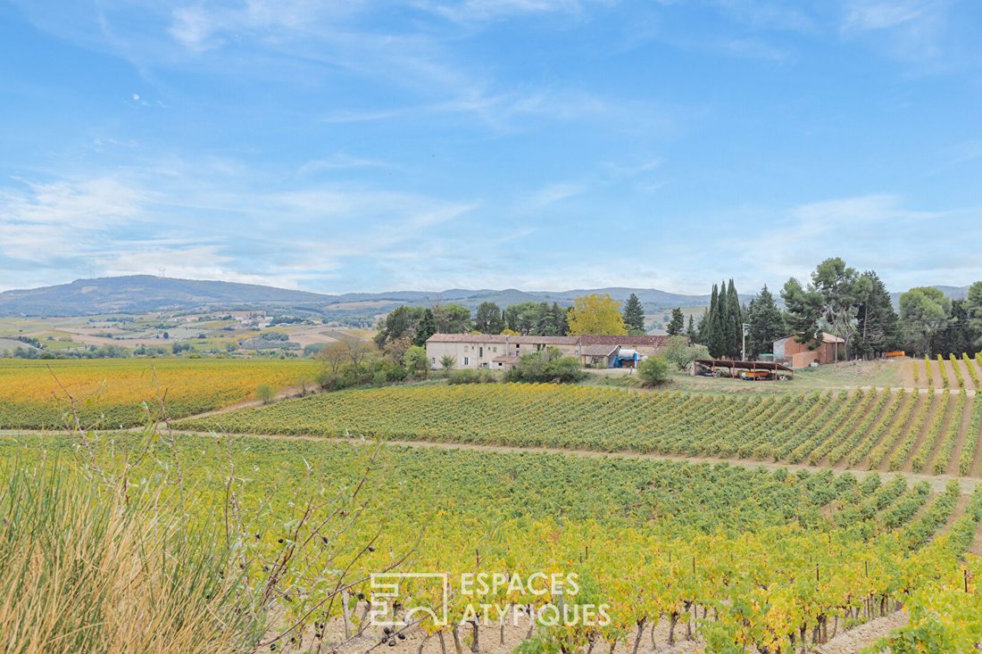 Villa in Petite Ville, Limoux, France 1 - 18367407