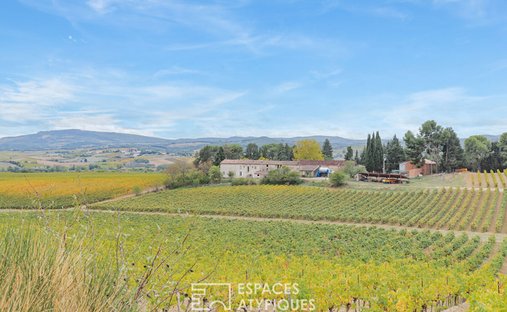 Villa in Petite Ville, Limoux, France 1