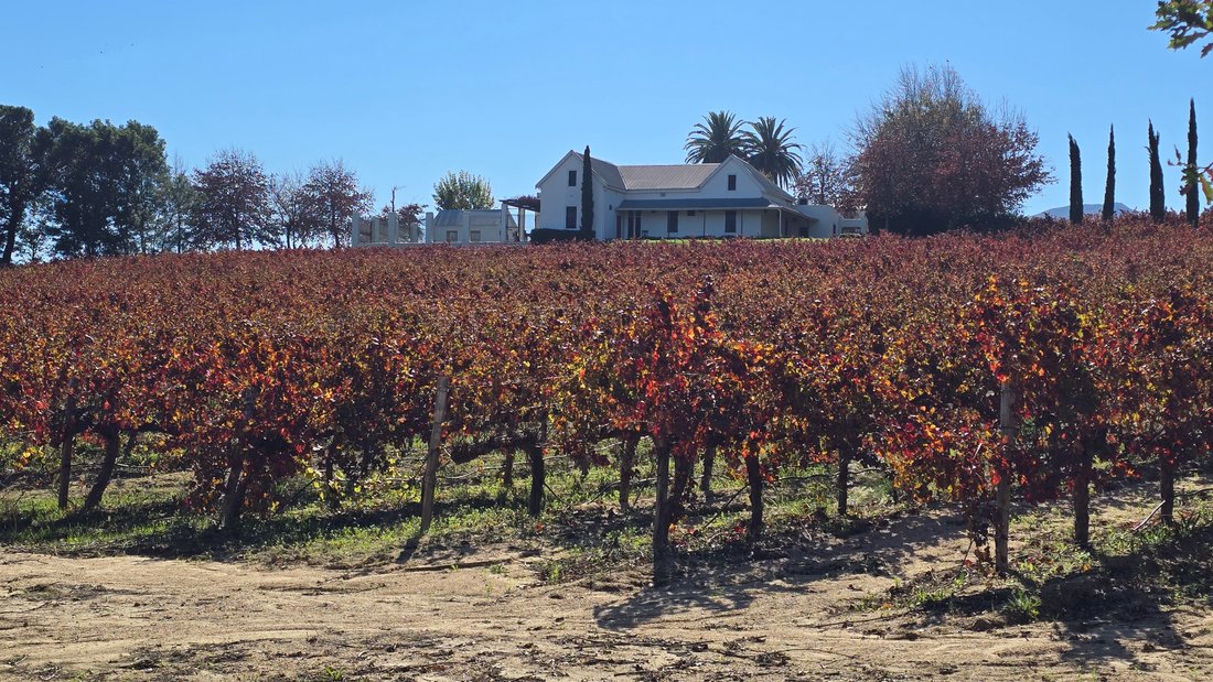 Farm Ranch in Wellington, Western Cape, South Africa 2 - 18369065