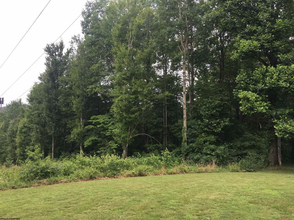 Land in Brookhaven, West Virginia, United States 4 - 18369678