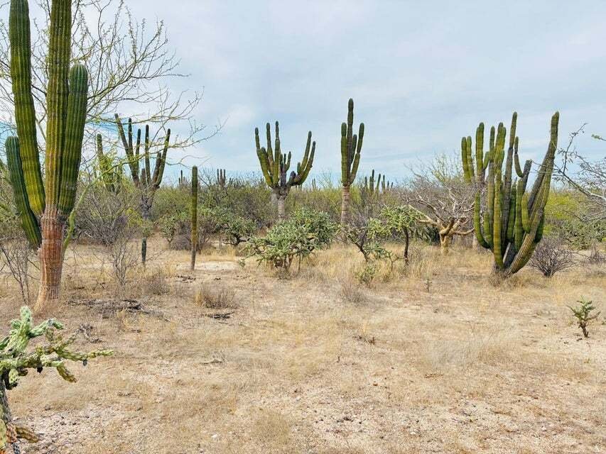 Land in La Paz, Baja California Sur, Mexico 3 - 18367167