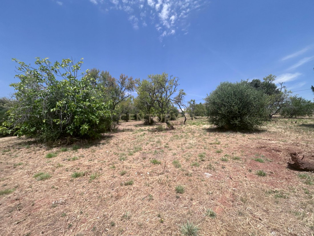 Land in Sao Bartolomeu de Messines, Algarve, Portugal 4 - 17923008