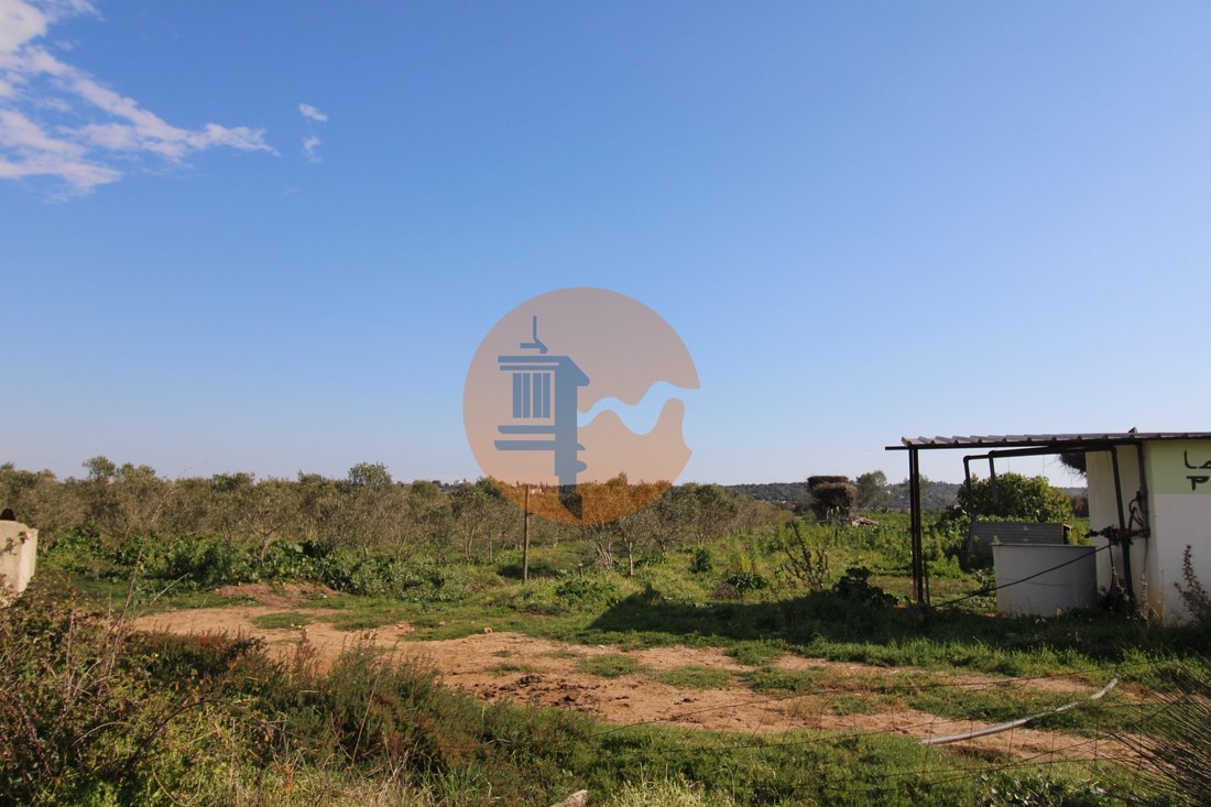 Finca in Odiaxere, Algarve, Portugal 3 - 12586147
