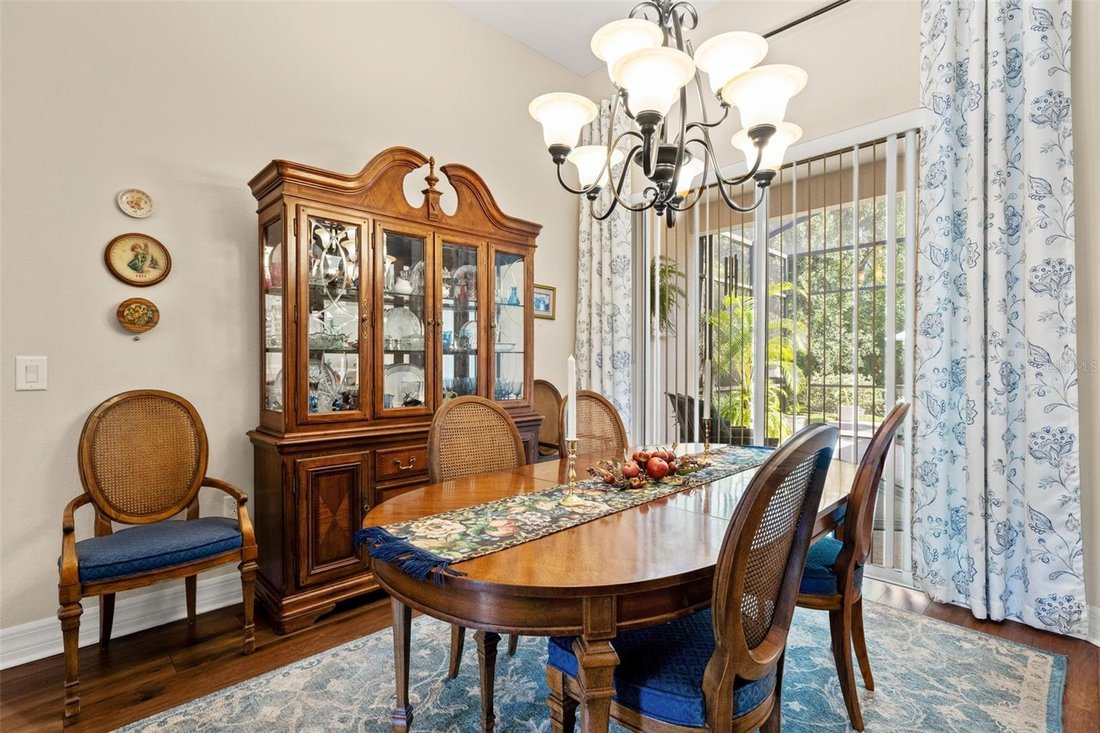 House in Odessa, Florida, United States 3 - 18362078