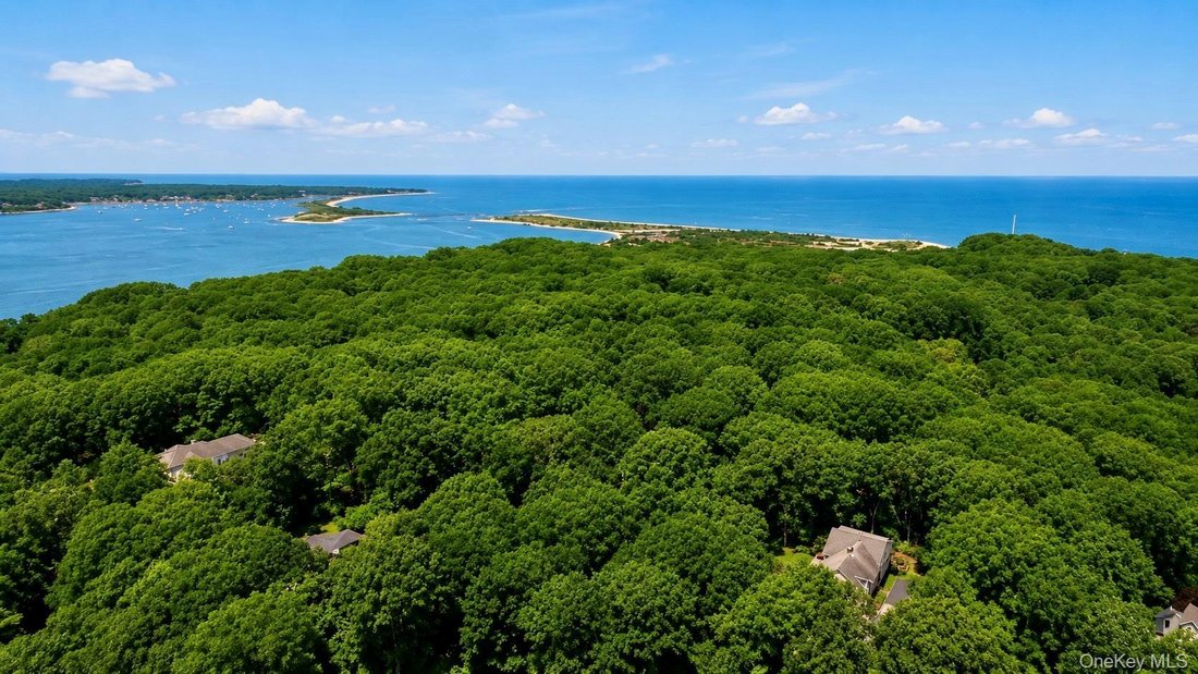 House in Port Jefferson, New York, United States 5 - 18366405