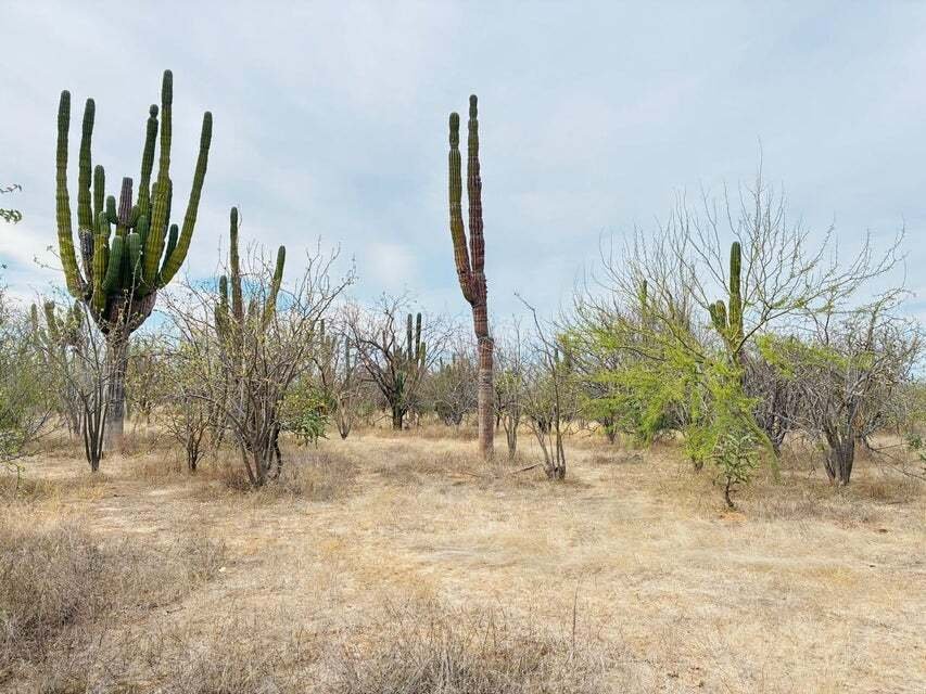 Land in La Paz, Baja California Sur, Mexico 2 - 18367167