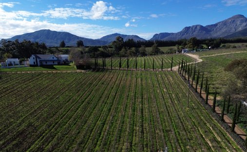 Farm Ranch in Wellington, Western Cape, South Africa 1