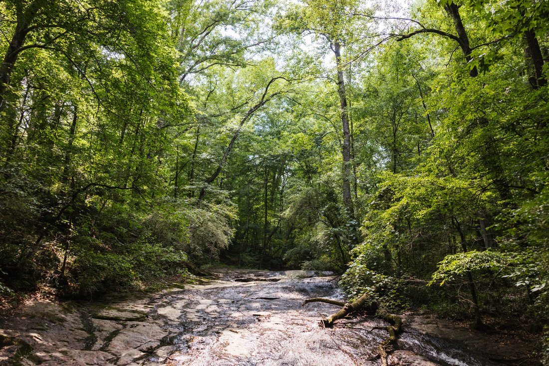 Land in Watkinsville, Georgia, United States 5 - 18364052