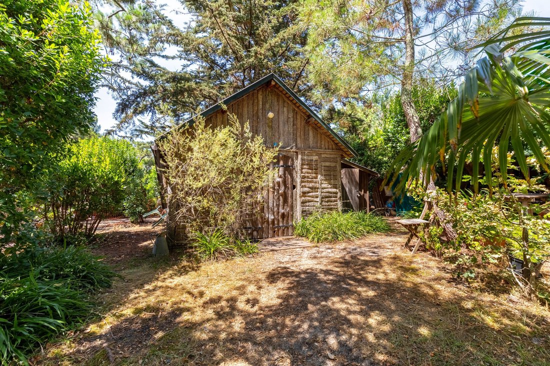 House in 33970 Le Cap-Ferret, Lège-Cap-Ferret, Nouvelle-Aquitaine 4 - 18364754