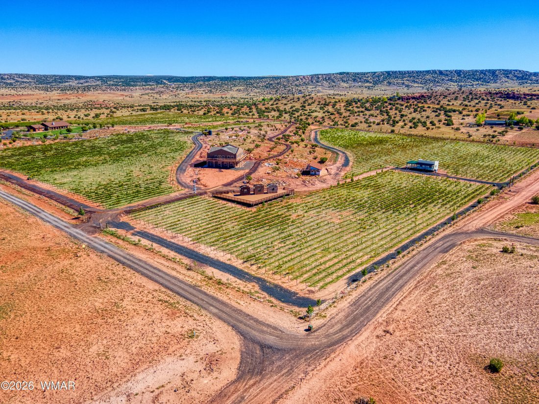Concho, Arizona, United States 2 - 18364842