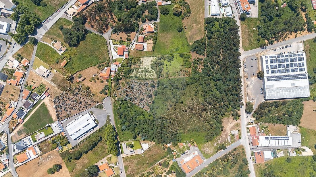 Land in Oliveira de Azemeis, Santiago de Riba-Ul, Ul, Macinhata da Seixa e Madail, Aveiro District, Portugal 4 - 18363786