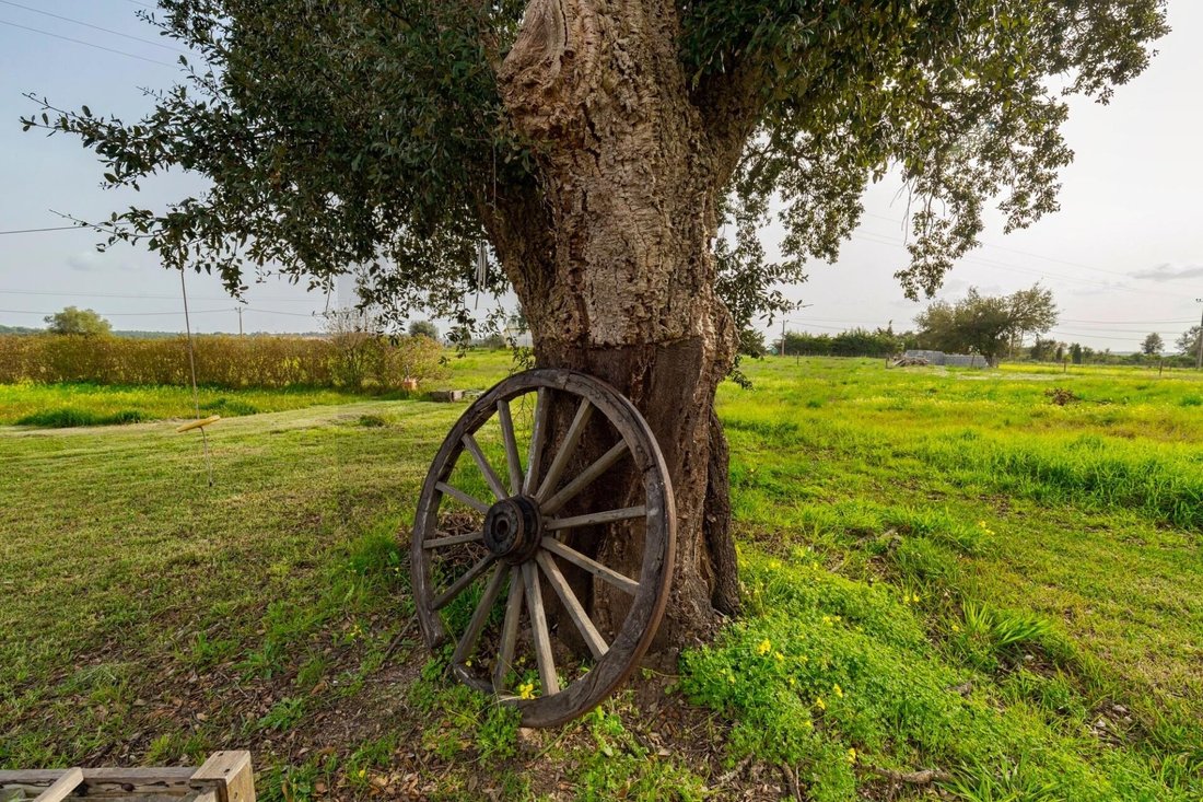 Farm Ranch in Santo Andre, Setubal, Portugal 5 - 18362492
