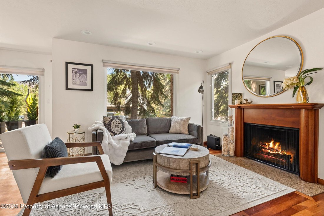 Condo in Aspen, Colorado, United States 1 - 18365429