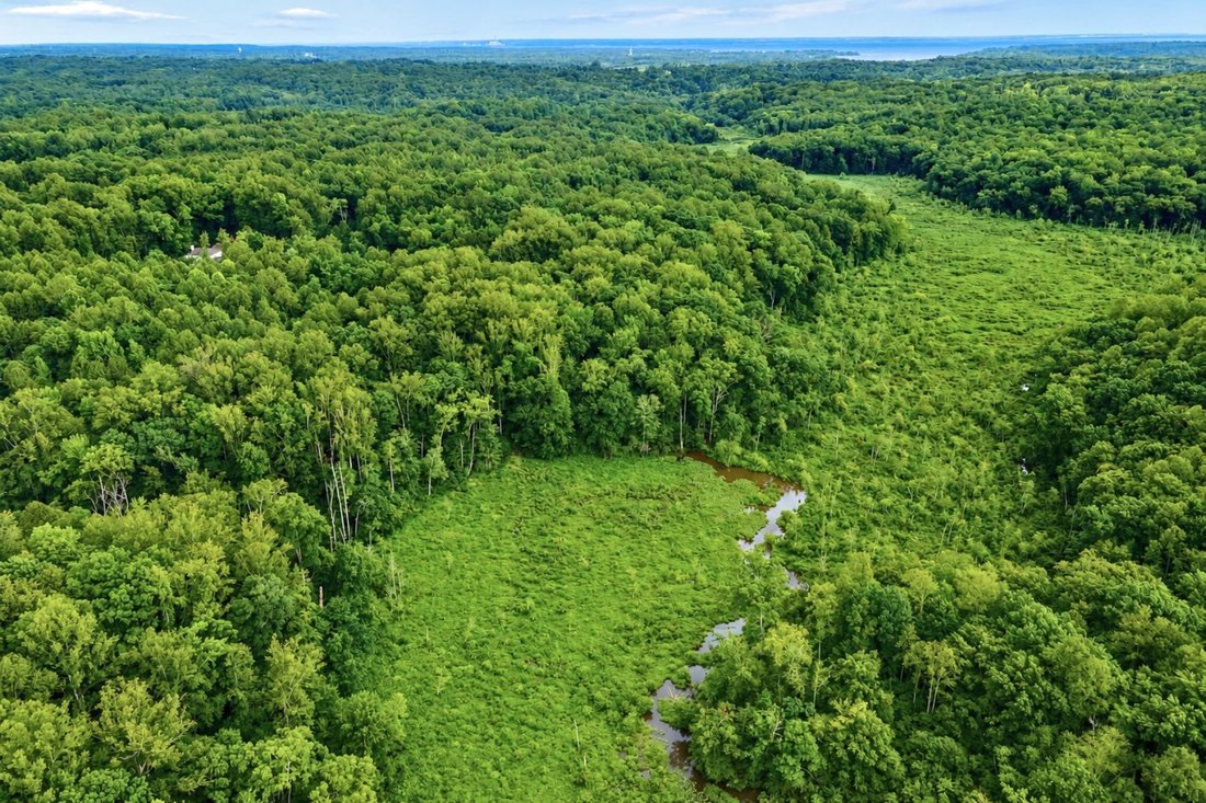 Land in King George, Virginia, United States 1 - 17987075