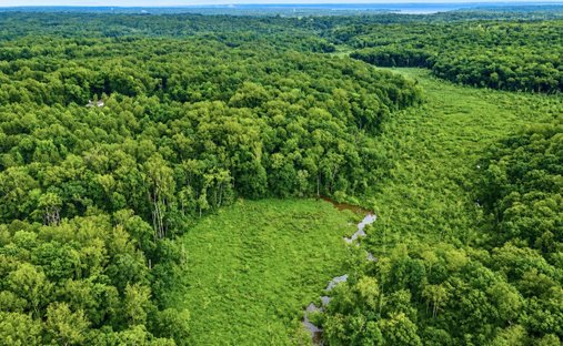 Land in King George, Virginia, United States 1