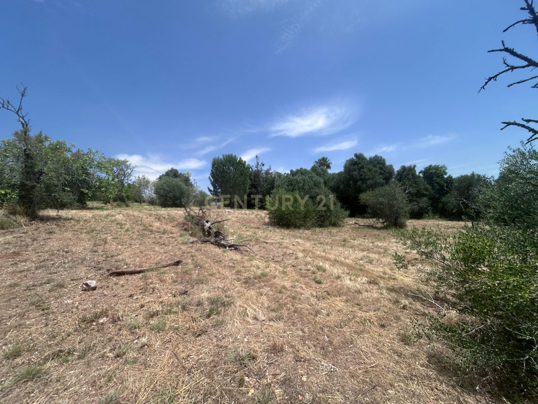 Land in Sao Bartolomeu de Messines, Algarve, Portugal 2 - 17923008