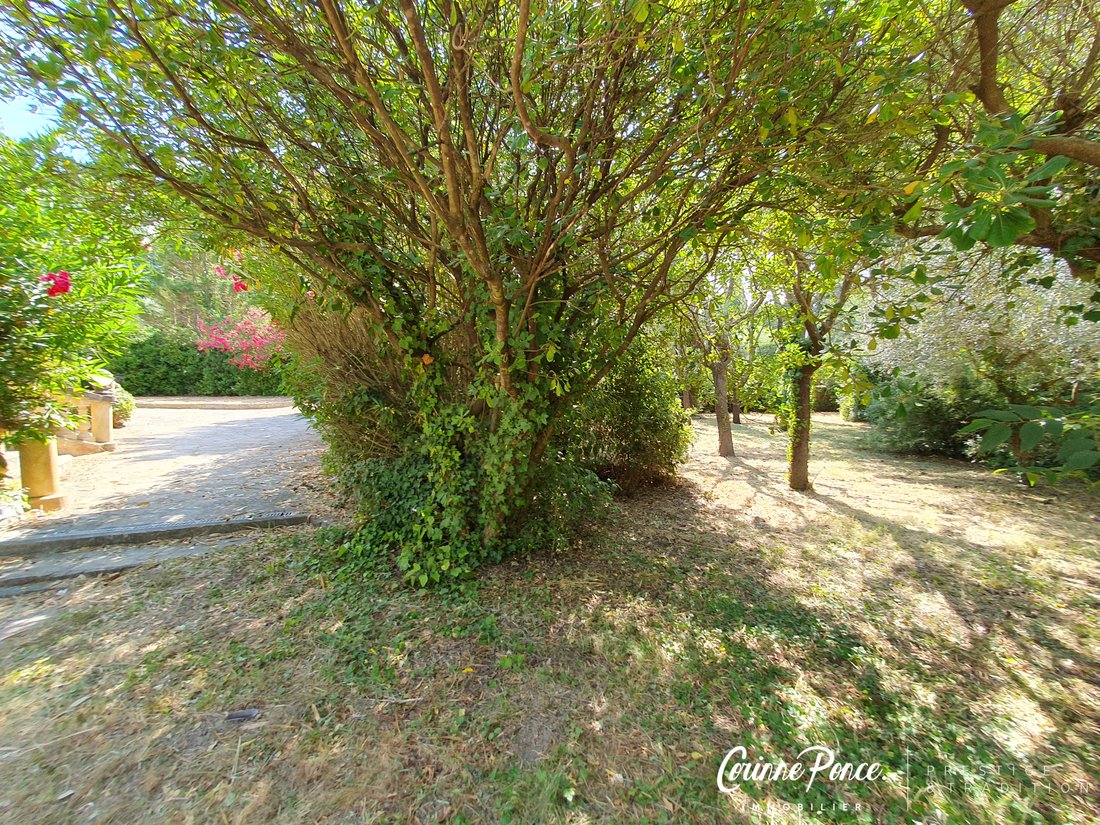 House in Camplanier, Nimes, France 5 - 18363385