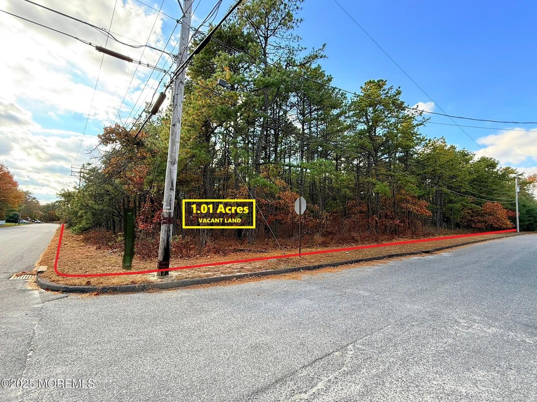 House in Manchester Township, New Jersey, United States 5 - 18361808