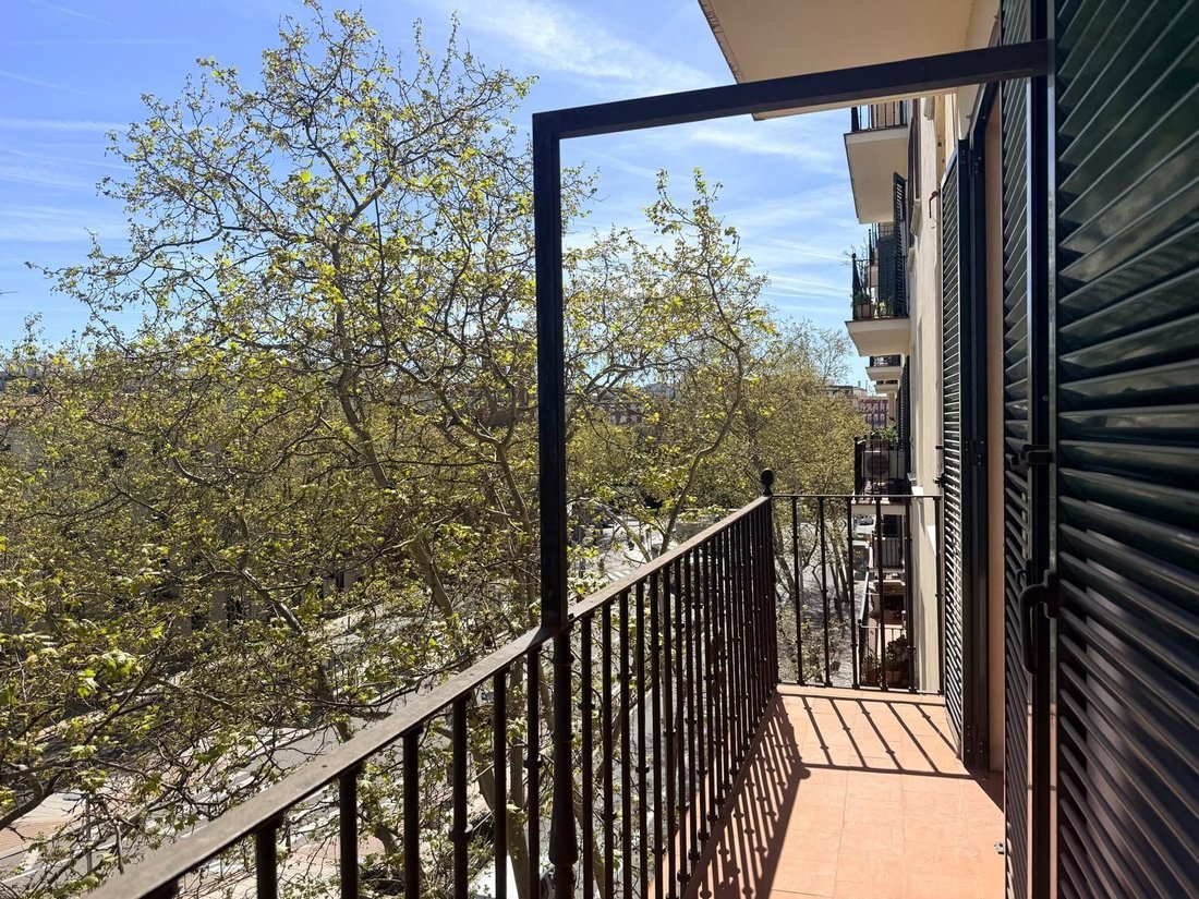 Apartment in Barrio Salamanca, Madrid, Spain 2 - 18362854