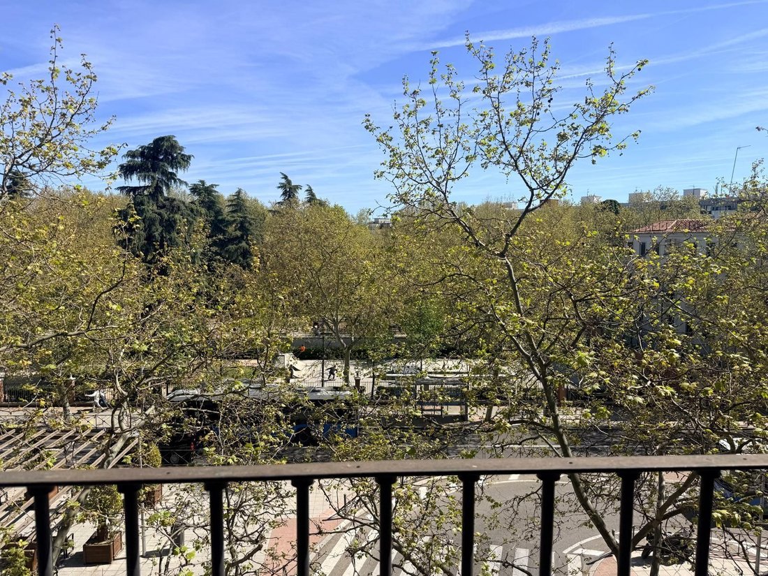 Apartment in Barrio Salamanca, Madrid, Spain 3 - 18362854