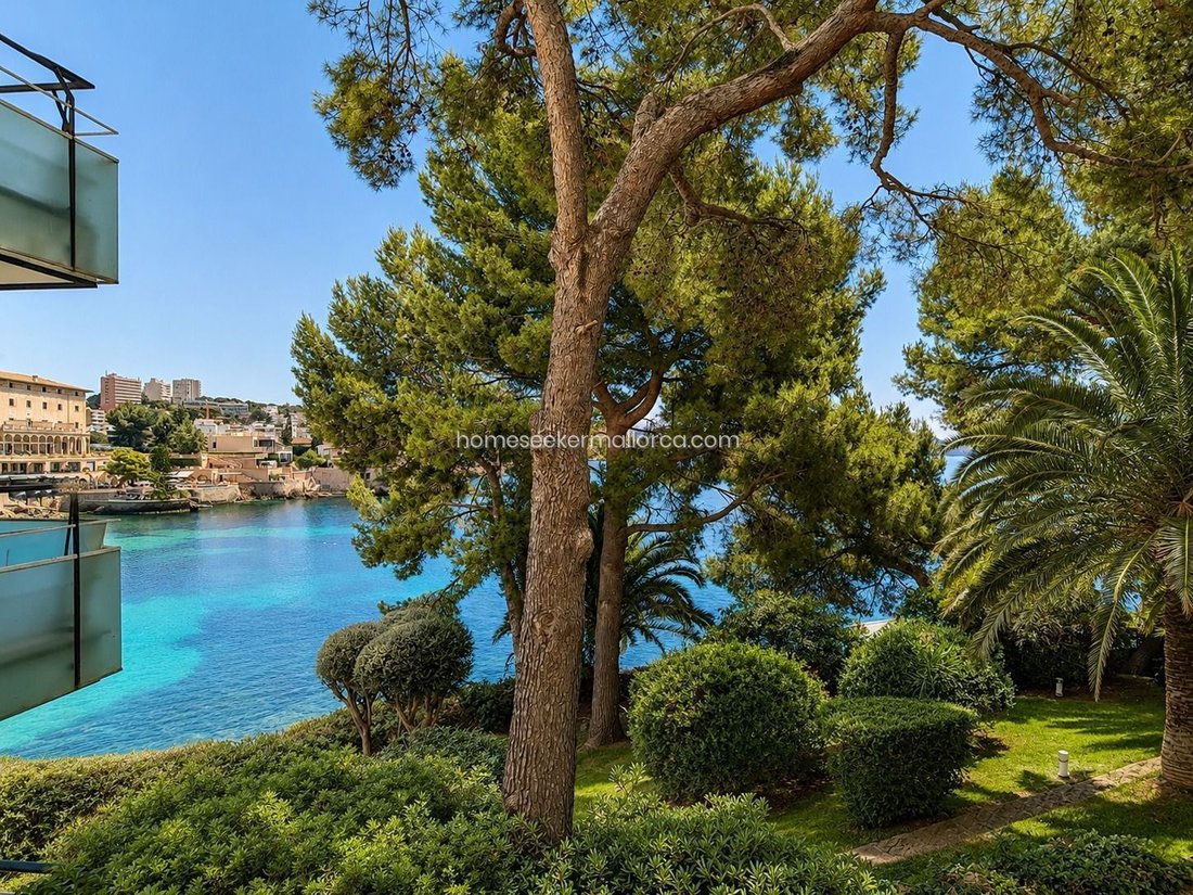 Apartment in Cas Catala, Calvia, Balearic Islands 2 - 18362684