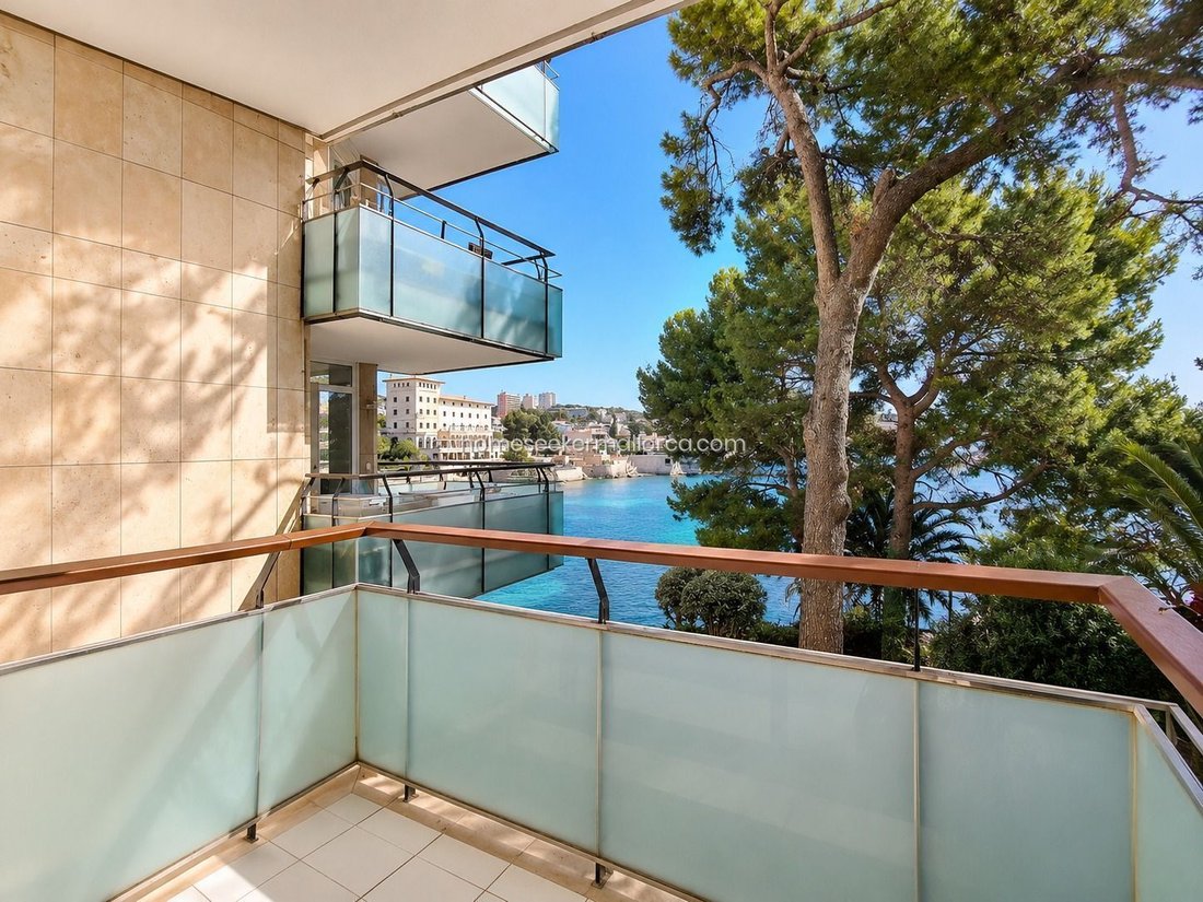 Apartment in Cas Catala, Calvia, Balearic Islands 3 - 18362684