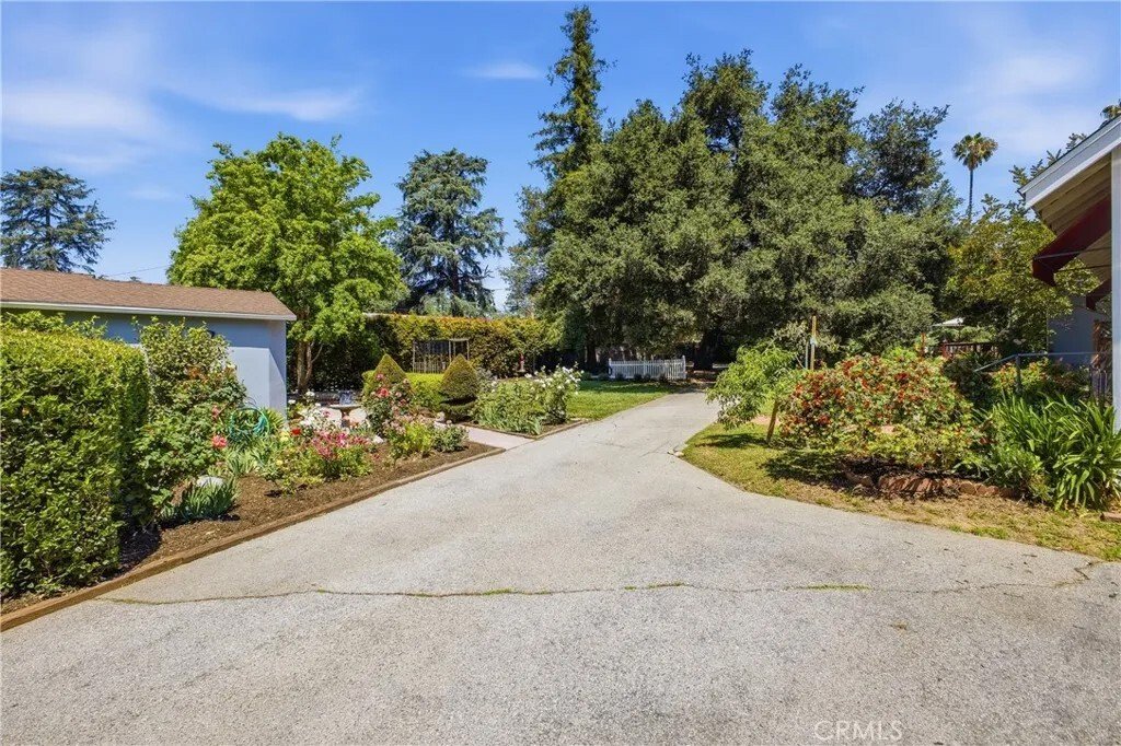 Altadena, California, United States 5 - 17895573