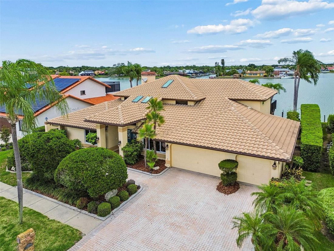 House in Tampa, Florida, United States 3 - 18365481